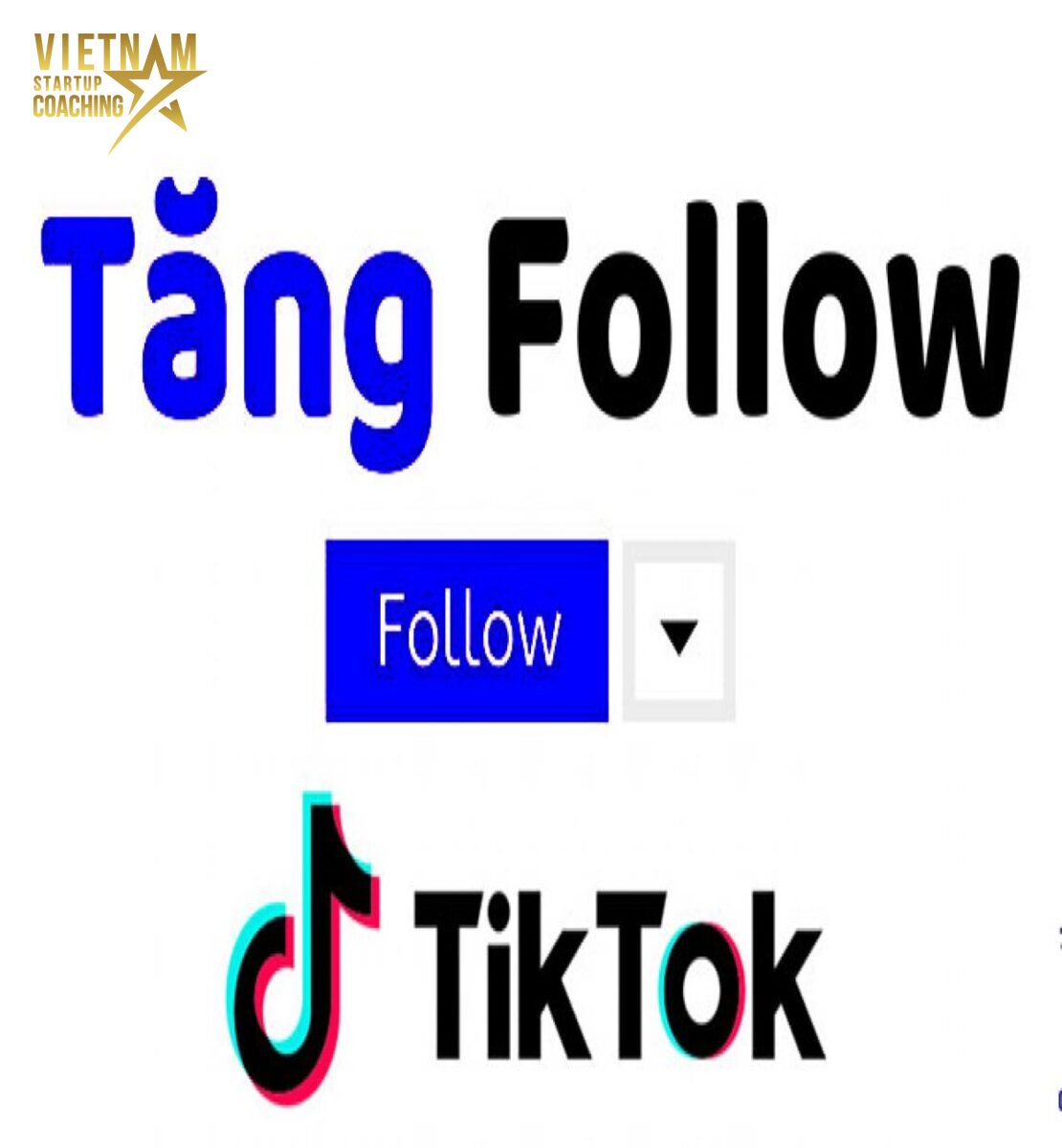 Làm thế nào để tăng lượt xem video TikTok của tôi?