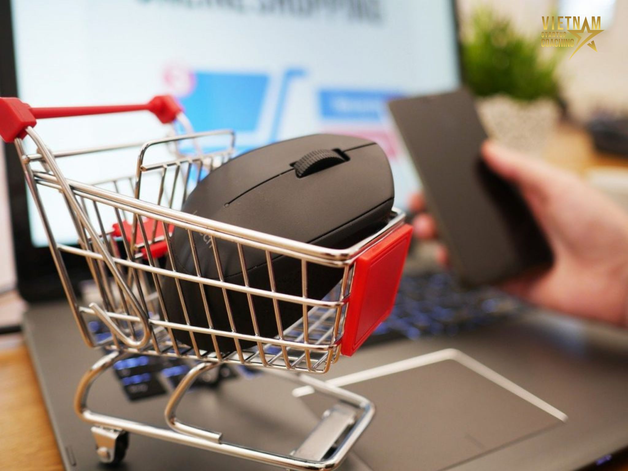 Ở Việt Nam, có nhiều trang web thương mại điện tử phổ biến mà người tiêu dùng thường sử dụng để mua sắm và đặt hàng trực tuyến
